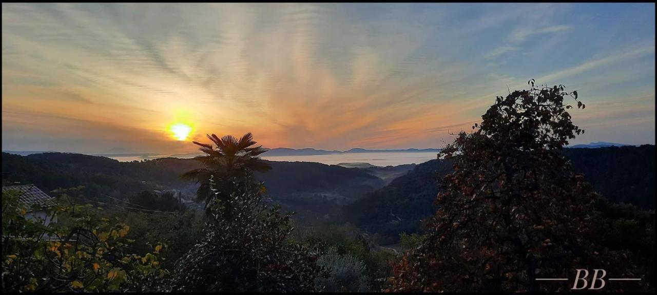 Hébergement de vacances Du Tilleul ,domaine De L'olivier *