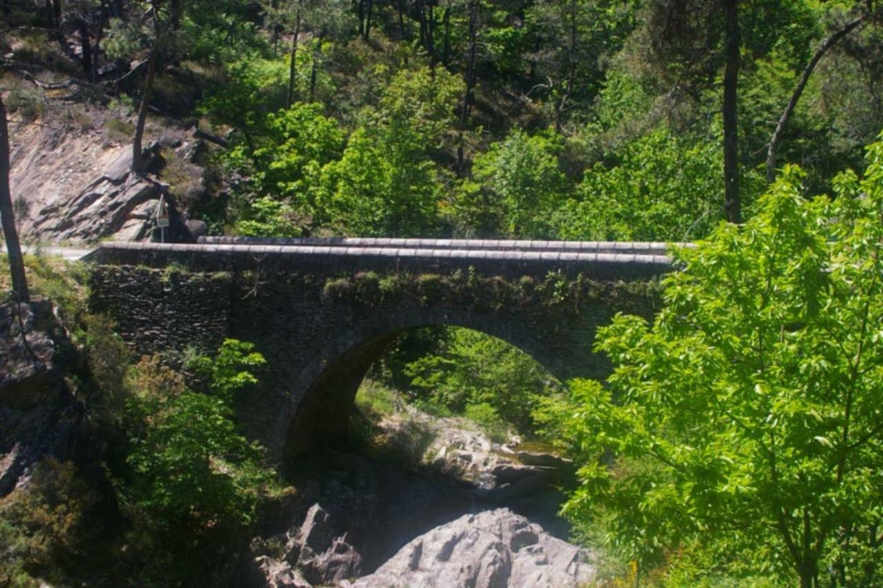 Hébergement de vacances Du Tilleul ,domaine De L'olivier Faugeres (Ardeche)